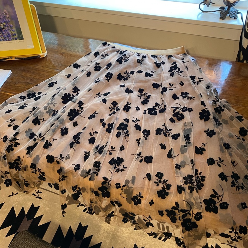 Sheer Chiffon Skirt with Flower Appliqué and Slip